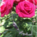 Gratitude Rose Necklace reminder to be grateful 