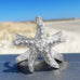 oddaughters Sterling Silver Starfish Ring a symbol of hope and resilience With white topaz gemstones heart 