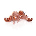 Rose Gold Evil Eye Angel Wing Heart Post Earrings Inspirational Jewelry for the Soul